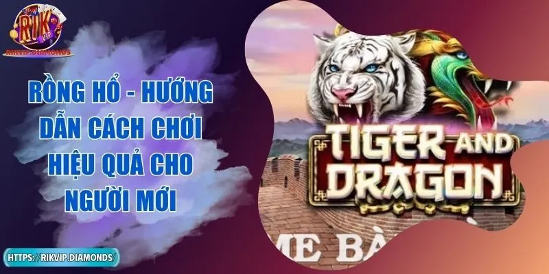 Rồng Hổ - Hướng Dẫn Cách Chơi Hiệu Quả Cho Người Mới