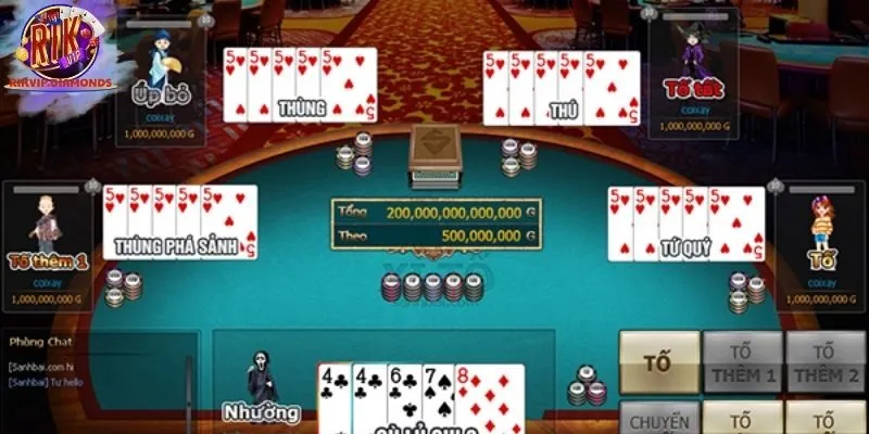 Các vòng cược cơ bản